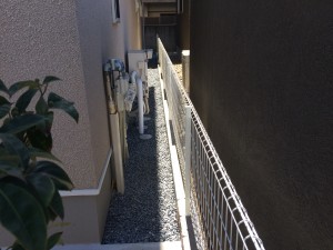 IMG_1779.JPG