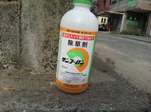DCIM0317ss