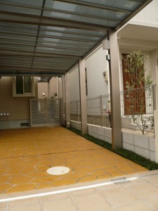 P1030990
