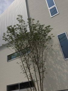写真 2014-09-11 10 39 55