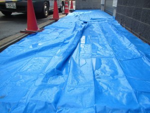 IMG_2590ss