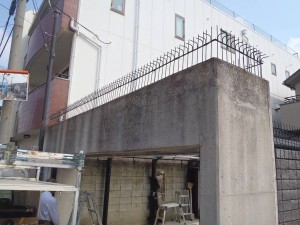 P7280103-ss