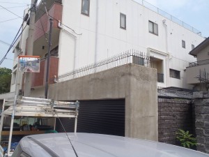 P7280113-ss