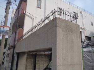 P7300221-ss