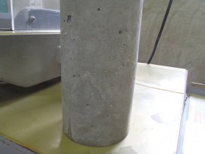 P8200027-ss