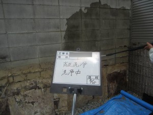 IMG_2193ss