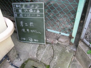 IMG_3656-ss