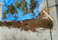 タマリュウ｜桑和スタッフブログ