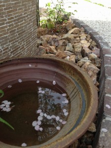 写真 2013-04-01 14 23 45