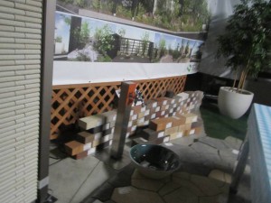 IMG_3096-ss