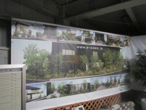 IMG_3097-ss