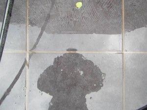 IMG_3392-sssss