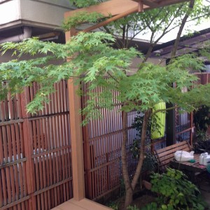 写真 2013-10-21 12 09 29