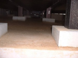 DSCF0019 (4)-s