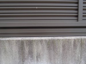 PB130004-s