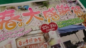 春の大感謝祭 (14)