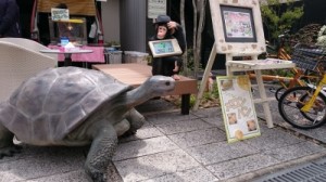 春の大感謝祭 (25)