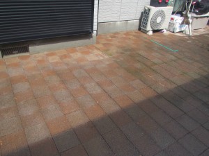 IMG_4891-s