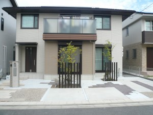 P1100027