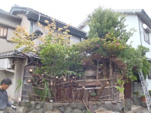 P4180035-s