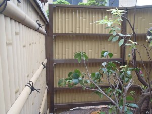 P4250106-s