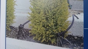 自動灌水システム (8)