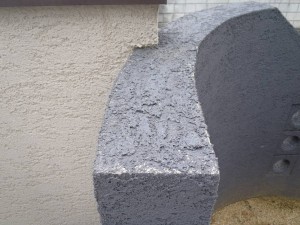p9050001-s