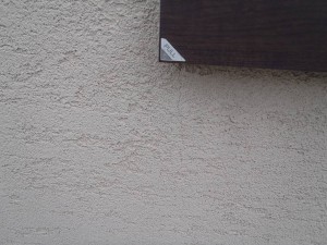 p9050004-s