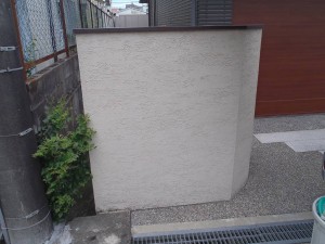 p9050017-s