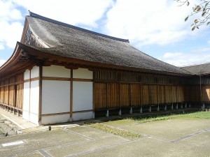 dsc_0264-s