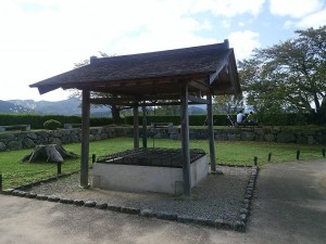 dsc_0275-s