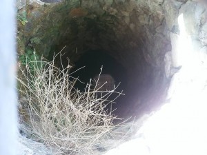 dsc_0277-s