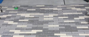 img_1880