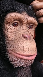 %e7%a7%8b%e3%81%ae%e5%a4%a7%e6%84%9f%e8%ac%9d%e7%a5%ad-2