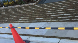 芝|桑和スタッフブログ