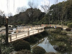 日本庭園 (11)