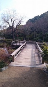 日本庭園 (3)