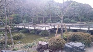 日本庭園 (5)