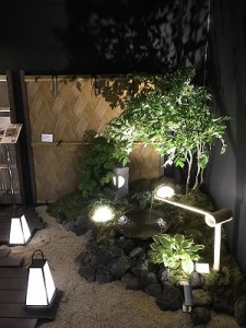 IMG_1334