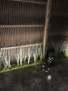 IMG_1336