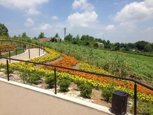 じゃぶじゃぶ広場 (5)