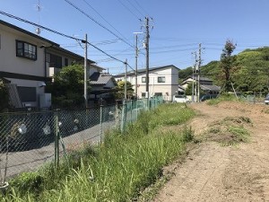 IMG_1037