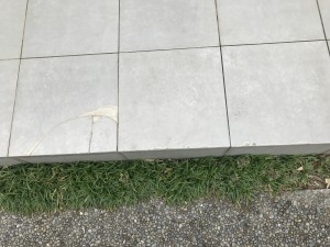 IMG_0405