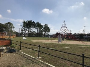 IMG_2054