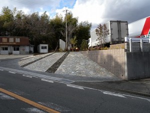DSCN3958