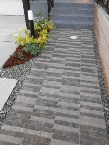 DSCN9013