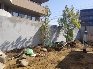 20180317_103124