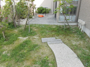 DSCN1076