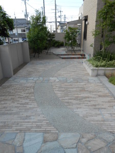 DSCN1195