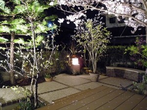 DSCN2919